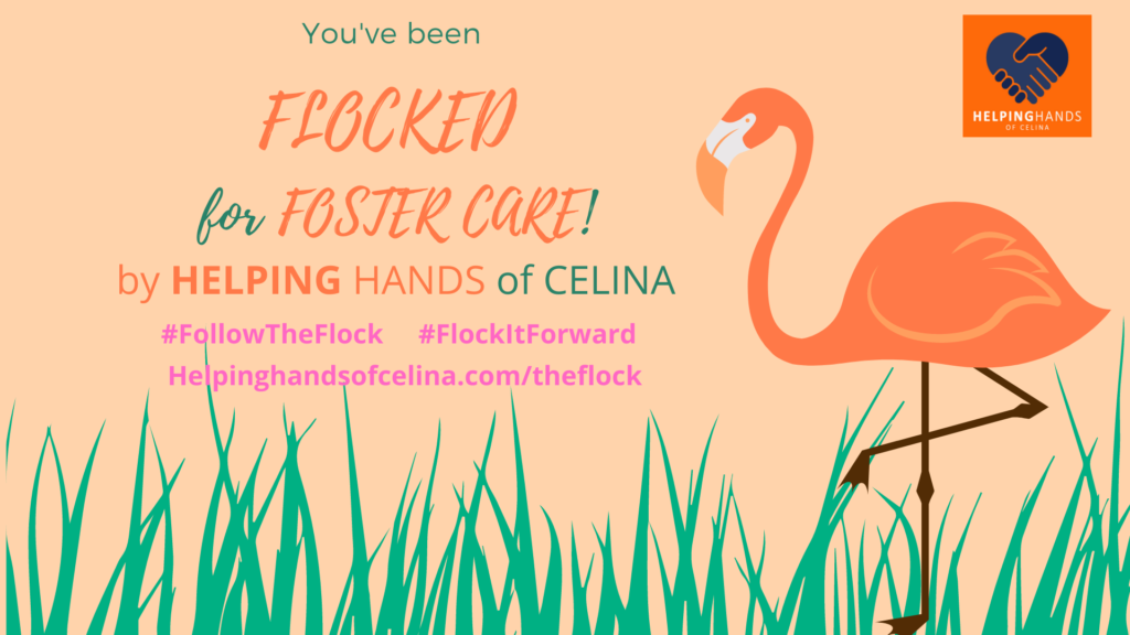 The Flock Helping Hands of Celina